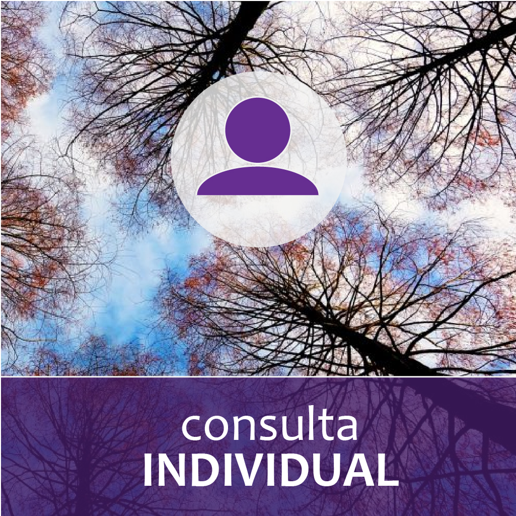 Constelaciones Familiares - Individual